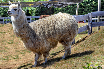 Puerto Montt, Chile © Paul James Bannerman