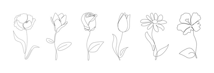 Fototapeta na wymiar Continuous line drawing of flowers.Poppy,magnolia,tulip,rose ,camomile with leaves one line drawing.Tropical flowers.Hand drawn flowers.Single one line flowers set .Flowers outline sketch.