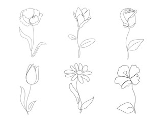 Fototapeta premium Continuous line drawing of flowers.Poppy,magnolia,tulip,rose ,camomile with leaves one line drawing.Tropical flowers.Hand drawn flowers.Single one line flowers set .Flowers outline sketch.