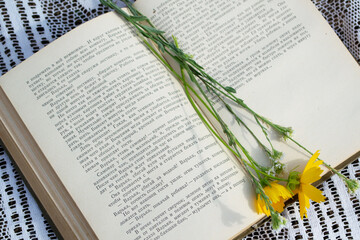 open book with flowers