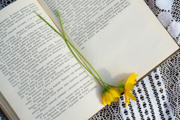 open book with flowers