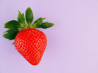 One big red strawberry on a light purple background