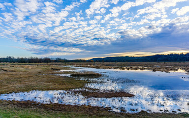 Fototapeta na wymiar Clouds Above Wetlands Reflection
