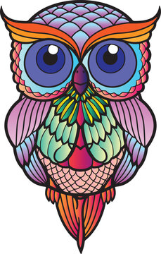 owl on white background
