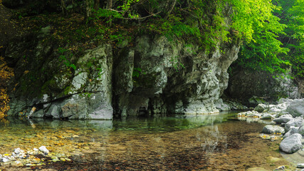 A green mountain river flowing along eroded cliffs in a canyon. Dead leaves are falling in the...