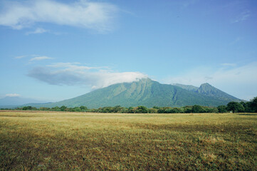 Panoramic view in the middle of Bekol savanna, Baluran National Park, Situbondo, Indonesia