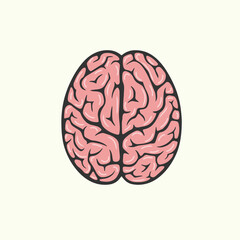 human brain illustration