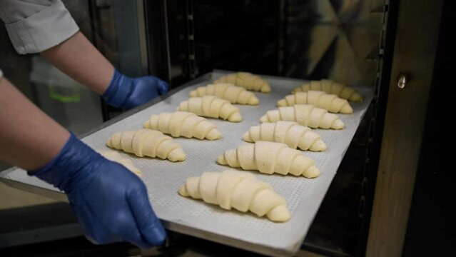 Kitchen in a bakery - the chef sends a baking sheet with croissants to the combi oven
