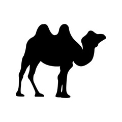 Camel silhouette arabian black vector