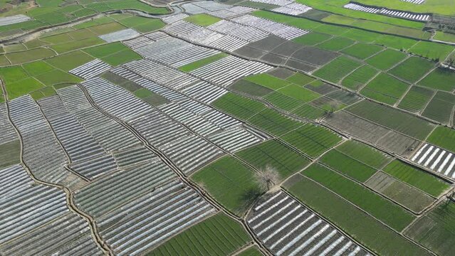 Laghman Qarghai District of Afghanistan, greenry of Afghanistan