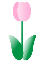 tulip flower decoration illustration gradient minimal style