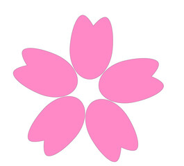 sakura pink gradient cute minimal decoration for spring and japanese kawaii cherry blossom