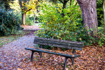 samotna ławka w parku w jesiennej aurze