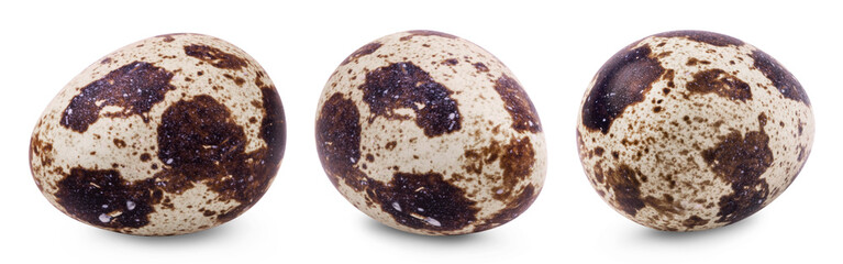 Quail eggs isolated set. Collection of fresh quail eggs on a white background. Culinary ingredients.