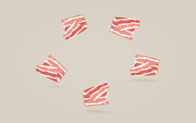 Vector Bacon Slice. Food illustration. Piece of meat.