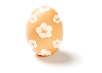 Easter egg isolated on white background 4