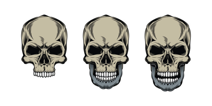 Original vector prints with skulls in vintage style. T-shirt design, design element.