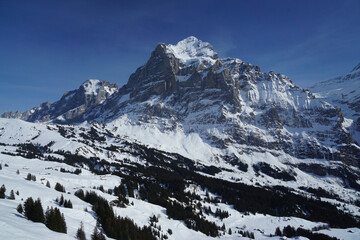 Der Winter in der Schweiz Swiss Alps