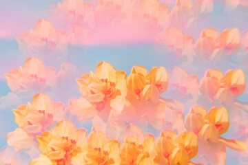 Flowers on a holographic background. The koleidoscope effect. Soft focus.