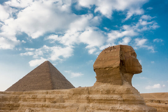 Sphinx in &Auml;gypten vor Cheops-Pyramide