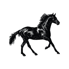 Fototapeta na wymiar silhouette of a horse black silhouette. Hand drawn Vector illustration for various applications, logo design, t-shirt design, web design, print, interior, books design and many more.