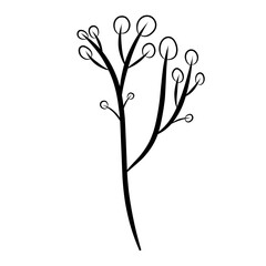 Beautiful Flowers and Plants Collection