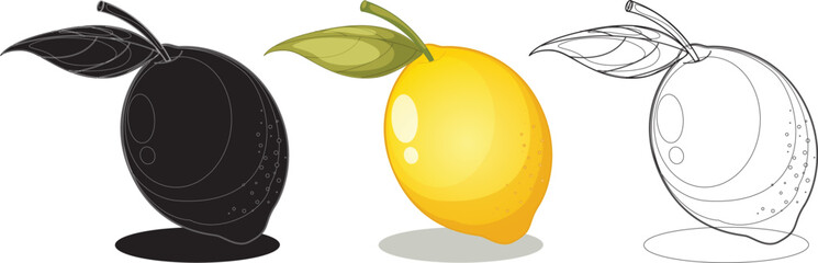  Lemon fruit design illustration Vector