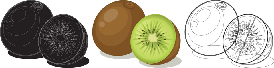 Kiwi fruit design illustration Vector