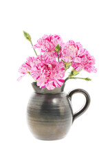 Obraz na płótnie Canvas Carnations in a jug