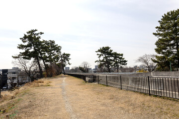 Fototapeta na wymiar 大阪・豊中市の高川水路の遊歩道（2023年3月5日撮影）