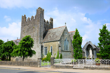 Ancient Trinitarian Abbey in the picturesque village of Adare, County Limerick, Ireland - obrazy, fototapety, plakaty