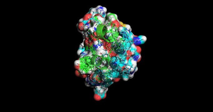 Insulin 3D protein molecule spinning 4K