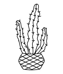 
Vector doodles cactus, plant in a flower pot 