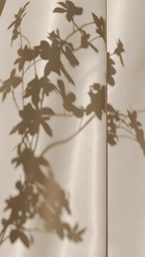 Cortina y tela con sombras de plantas en movimiento, en color nude. 