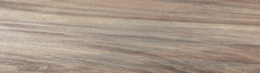 texture of wood background. old brown rustic light bright wooden maple texture - wood background panorama banner long