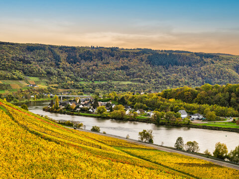 Senhals village in the valley along Moselle river bank between rolling hills and steep vineyards in Cochem-Zell district, Germany