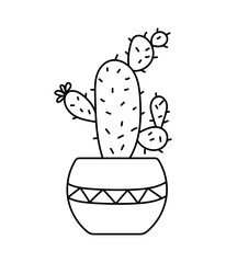 Vector doodles cactus, plant in a flower pot 