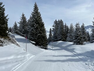 Excellently arranged and cleaned winter trails for walking, hiking, sports and recreation in the area of the Swiss tourist winter resort of Arosa - Canton of Grisons, Switzerland (Schweiz)