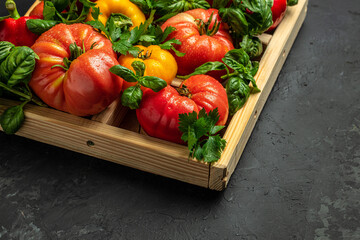 harvest of fresh vegetables on the table, pepper, tomato, basil, dark background. Flat lay. Top view