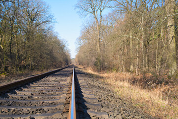 view of railroad tracks leading through a section of forest