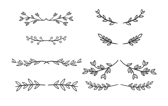 collection of hand drawn floral elements.