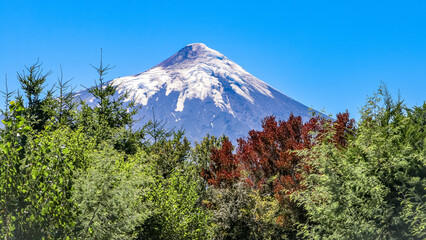 Fototapeta premium Amalia Glacier, Chile