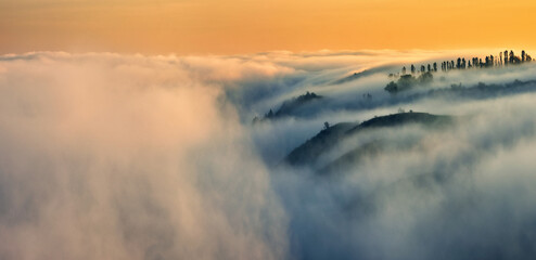 Trees in the Fog. Autumn morning. Nature of Ukraine