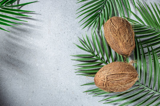 nature background tropical leaves coconut, summer background, place for text, top view © Надія Коваль