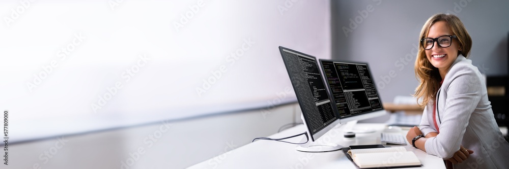 Poster Developer Programmer Woman Coding Software
