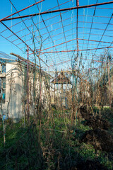Fototapeta premium Soil preparation in the greenhouse. Application of humus, compost for the future harvest. Clean production.