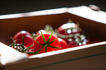 Fresh tomatoes in cardboard box in back light. Low depth of field.