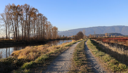 Late afternoon sunshine on the autumn dykes