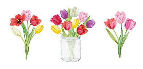 Set of tulips isolated on white background. Watercolor floral botanical illustration.