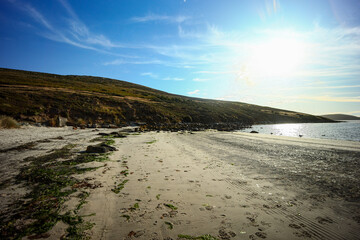 the Falklands